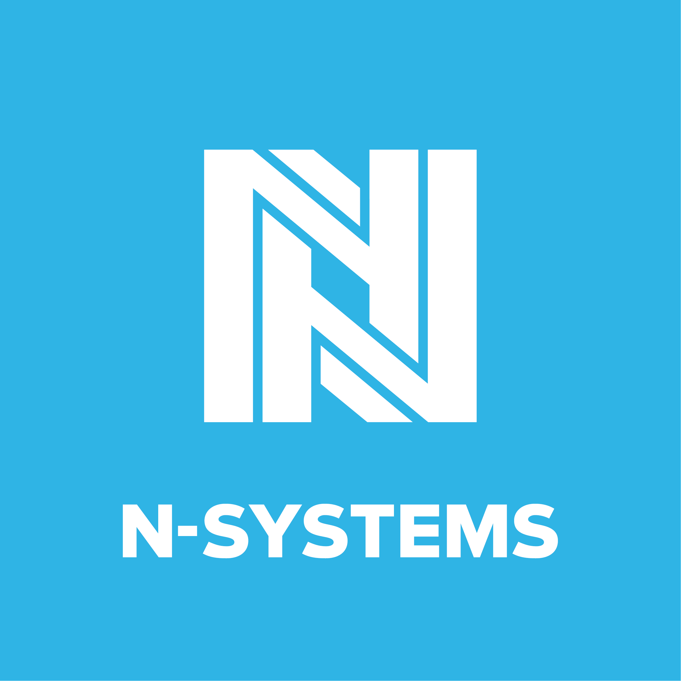 Эн-Системс n-systems